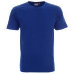 Chabrowy t-shirt Promostars Standard